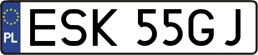 ESK55GJ