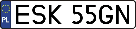 ESK55GN