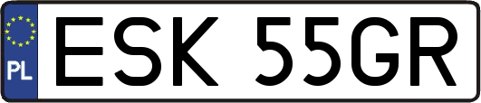 ESK55GR