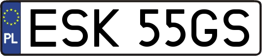 ESK55GS