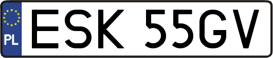 ESK55GV