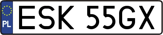 ESK55GX