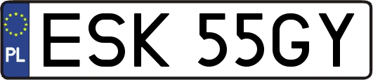 ESK55GY
