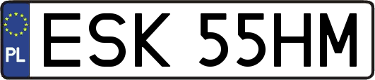 ESK55HM