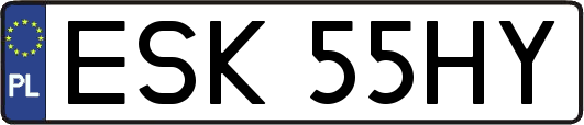 ESK55HY