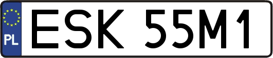 ESK55M1