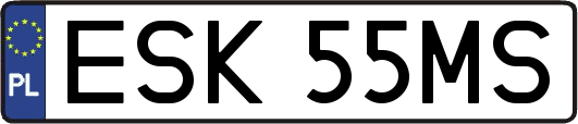 ESK55MS