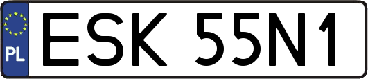ESK55N1