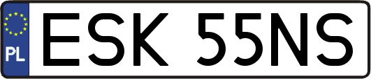 ESK55NS