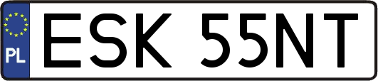 ESK55NT