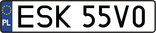 ESK55V0