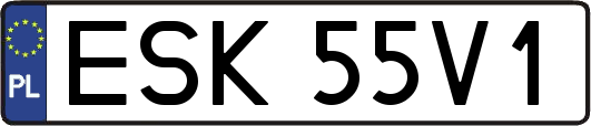ESK55V1