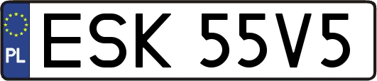 ESK55V5