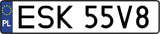 ESK55V8