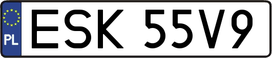 ESK55V9