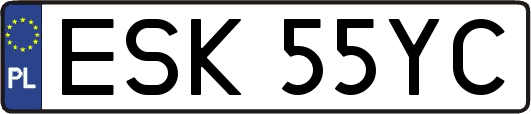 ESK55YC