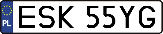 ESK55YG