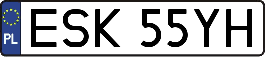 ESK55YH