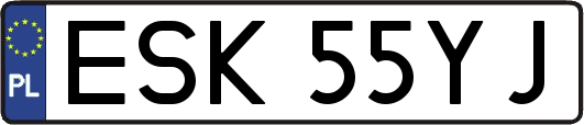 ESK55YJ
