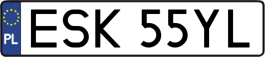 ESK55YL