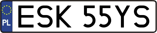 ESK55YS