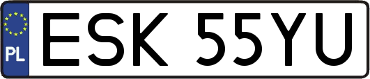 ESK55YU