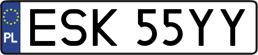ESK55YY