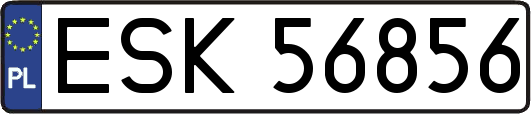 ESK56856