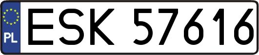 ESK57616