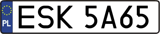 ESK5A65