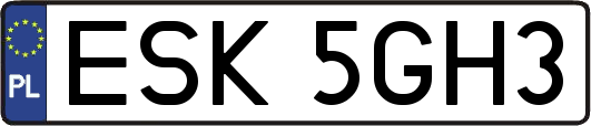 ESK5GH3