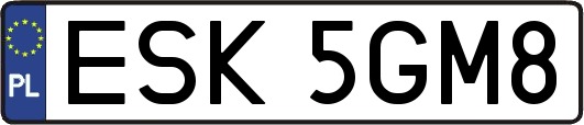 ESK5GM8