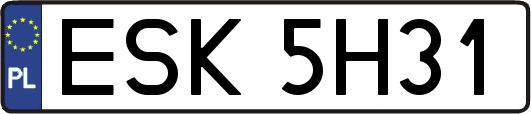 ESK5H31