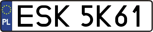 ESK5K61