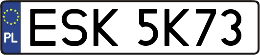 ESK5K73