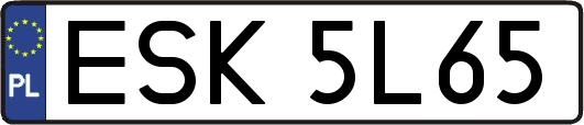 ESK5L65