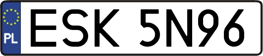 ESK5N96