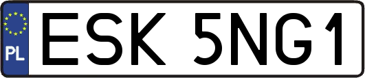 ESK5NG1