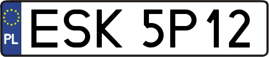 ESK5P12