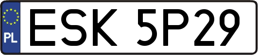 ESK5P29