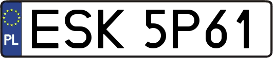 ESK5P61