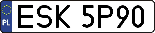ESK5P90