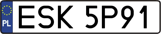 ESK5P91