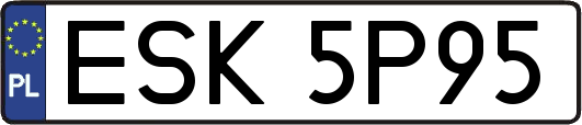 ESK5P95