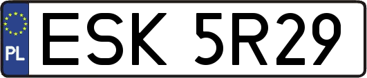 ESK5R29
