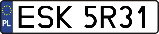 ESK5R31