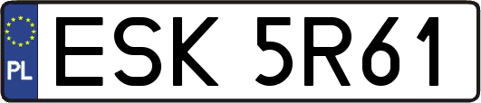 ESK5R61