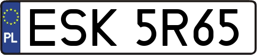 ESK5R65