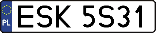ESK5S31