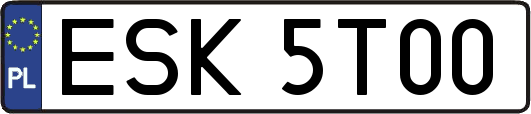 ESK5T00